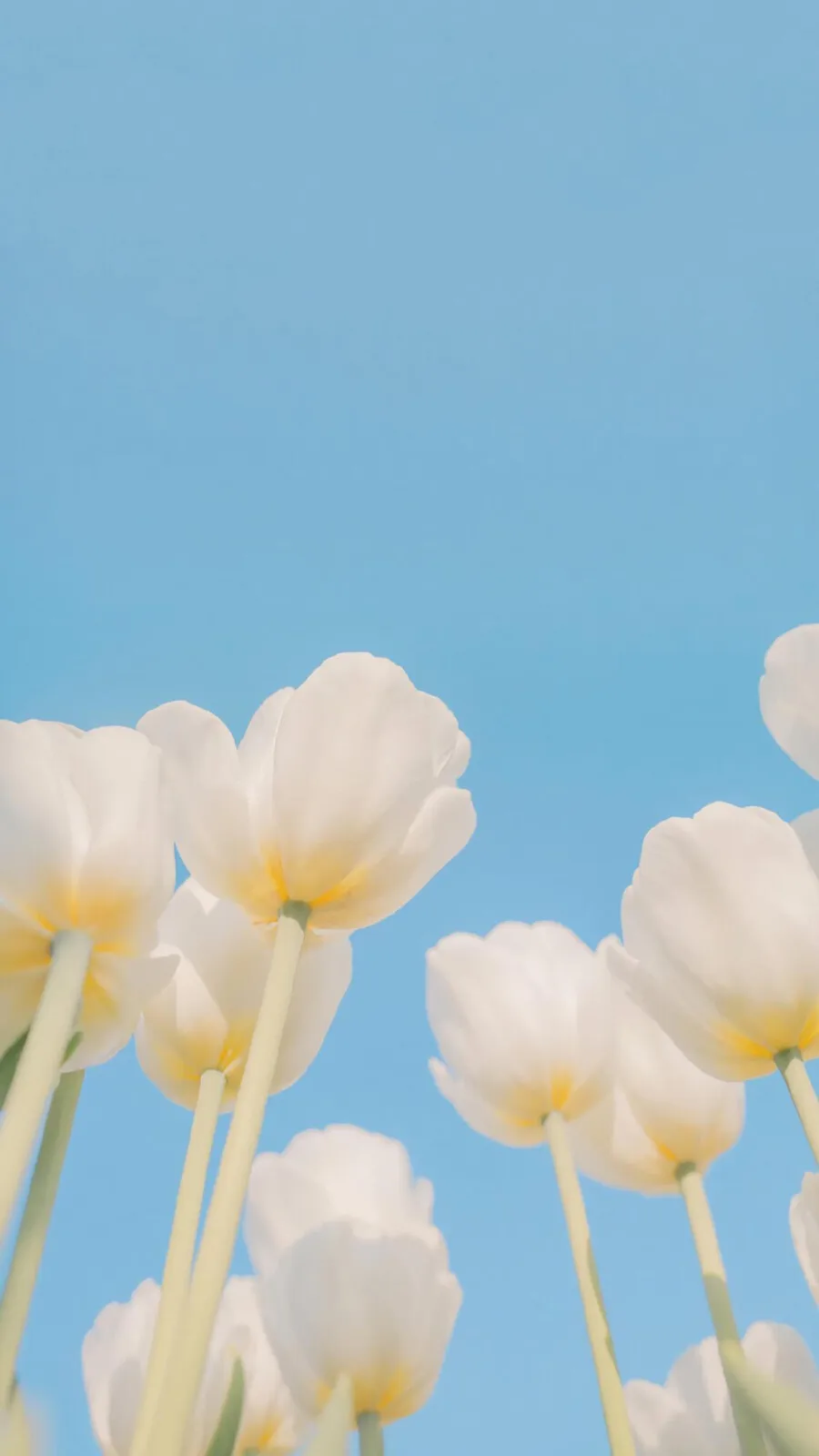 

Universal 4PCS RC Tires for 1/7 ARRMA Infraction Limitless FELONY, Fits FSRC Model GT 1/8 HuanNao X3GT