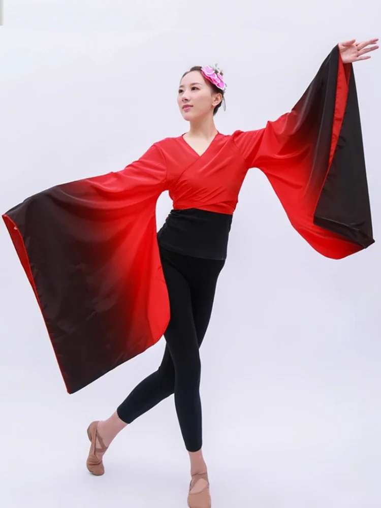 Tang Dynasty Yangko Dance Tops Classical National Costumes Wide Sleeve Hanfu Tops  Elegant Folk Dance Performance Costumes