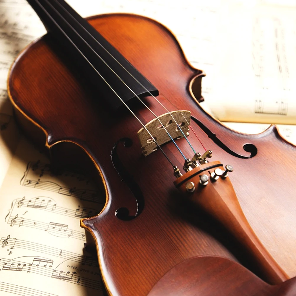 

8Pcs Violin Strings Kit Durable Replacement Full Set Clear Tone Violin String Accessories Professional Quality