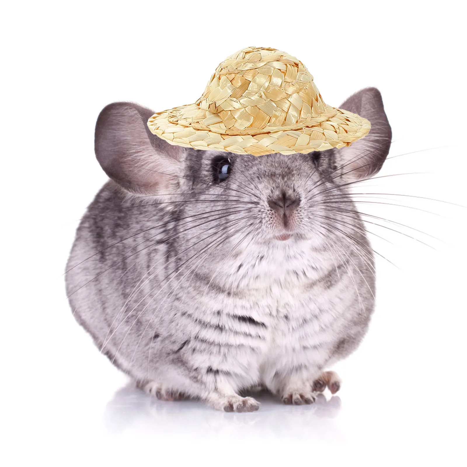 

2 шт. миниатюрные плетеные соломенные шляпки, легкие, реалистичные, для декора кукольного домика, аксессуары для рукоделия, реквизит для фотосессий, украшение