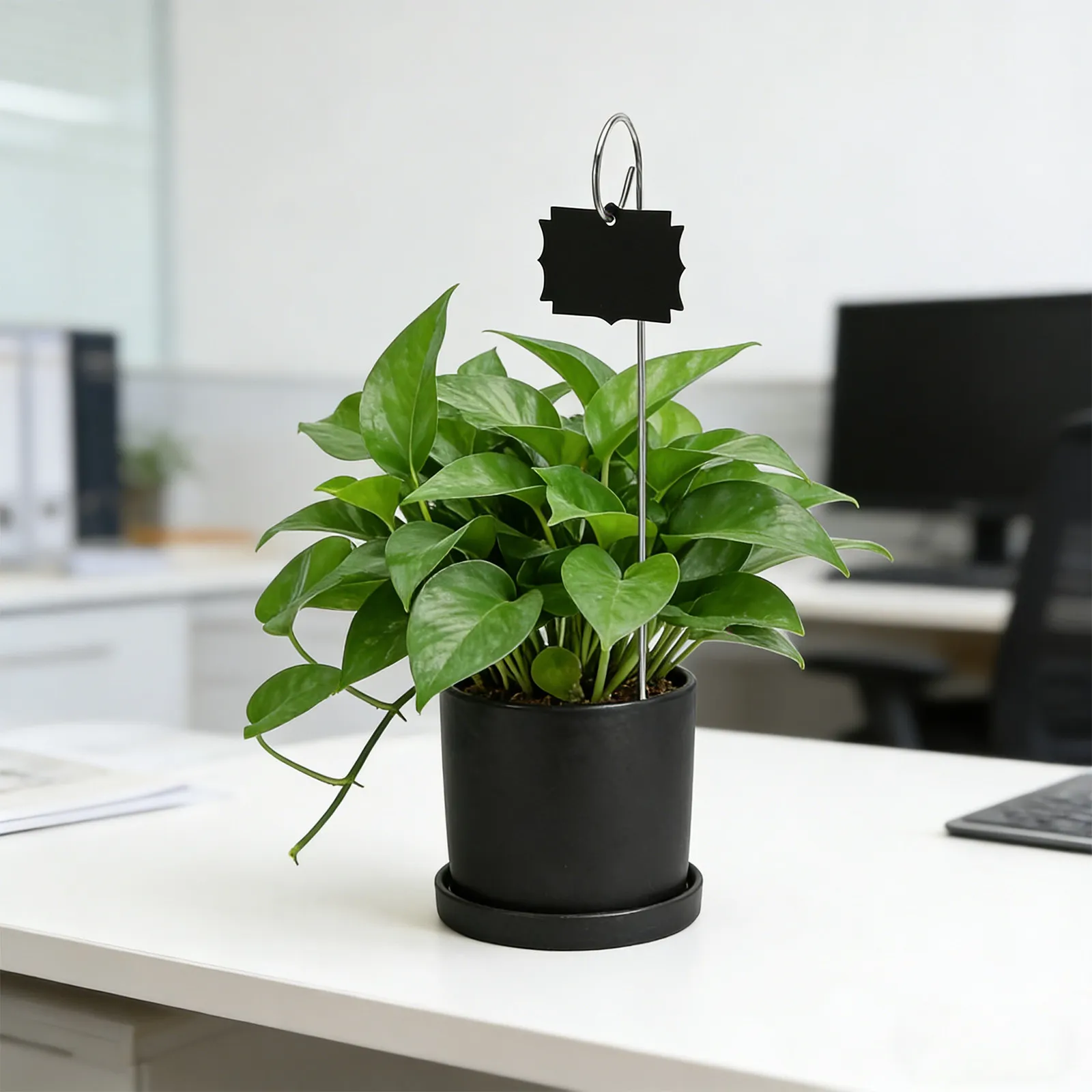 1Set Balcony Plant Labels Acrylic Mini Chalkboard Sign Weather Resistant Garden Stakes Plant Markers for Herb Flower Pot