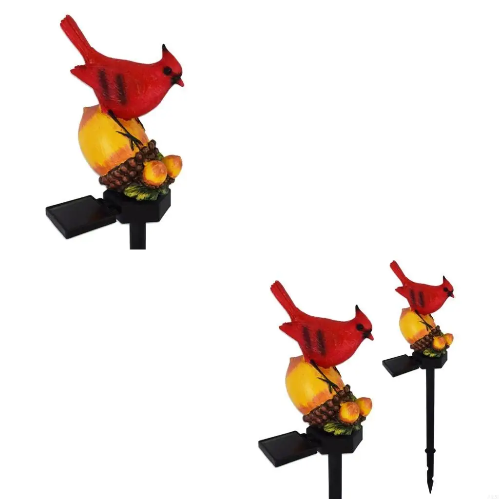 

Solar Energy Ground Plug Lights Perfect for Indoor and Outdoor Decoration
