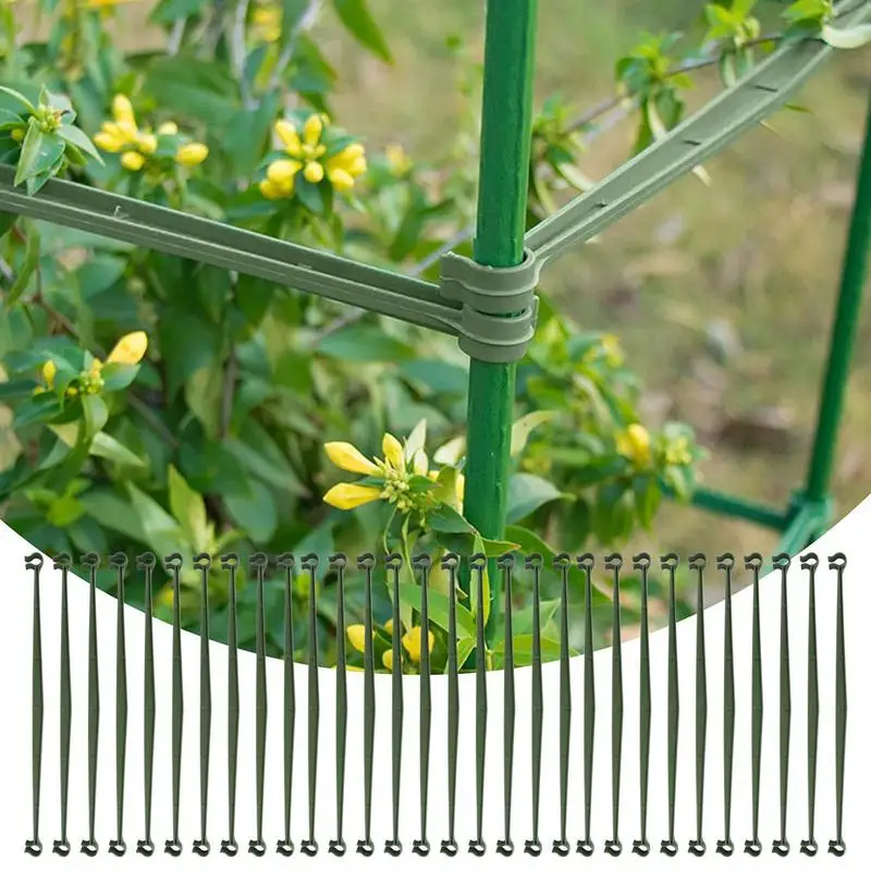 Connecteurs de piquet de tomate, supports de plantes, clips de connecteur en treillis, cadre d'escalade de plantes, connecteurs extensibles en treillis, plante, 30 pièces