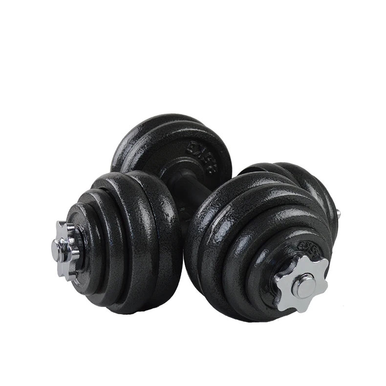 2026 2026 Custom Baking Paint Dumbbell Factory Supply 20kg 15kg & 50kg Weight For Weights Trainingpromote Sales