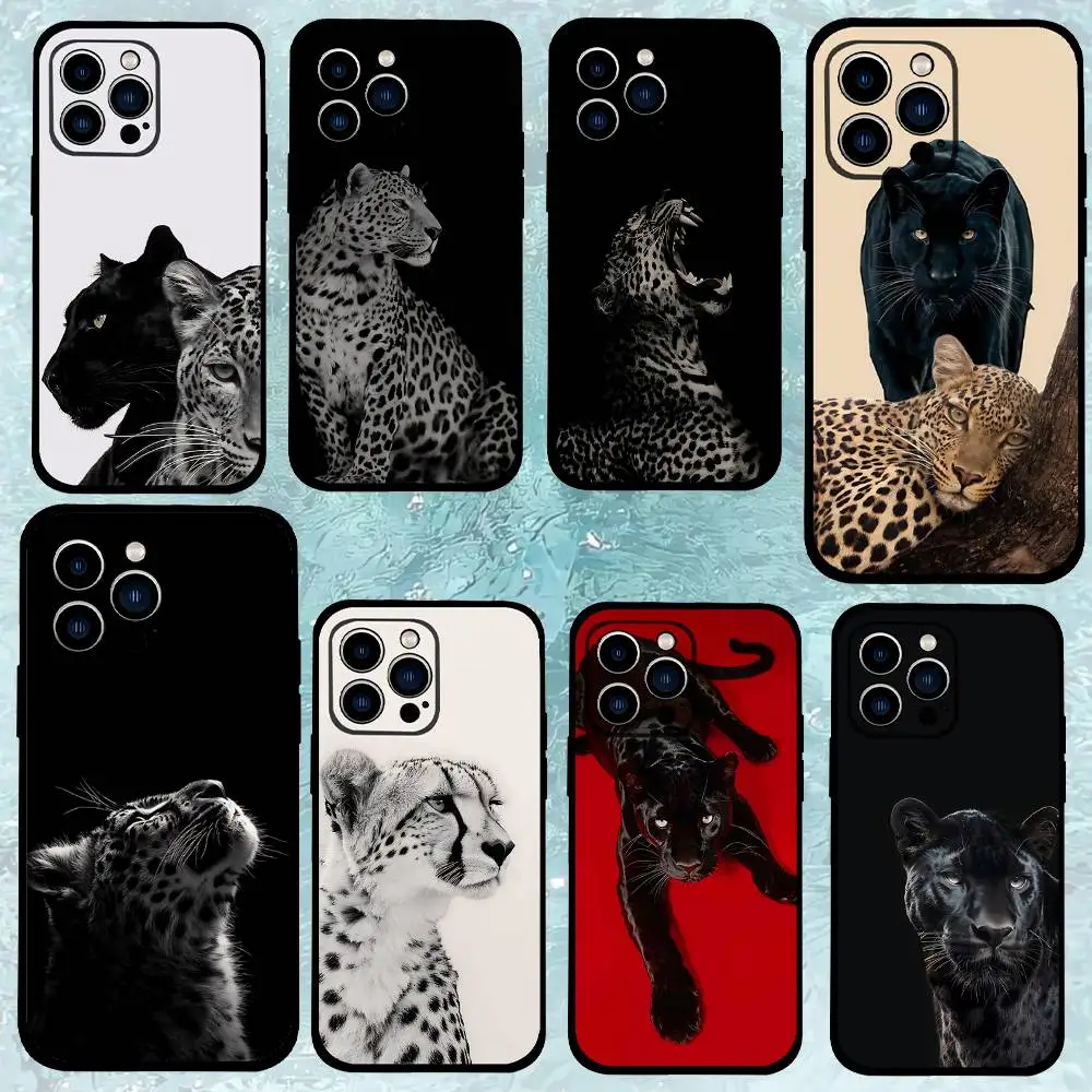 F-Ferocious Leopard…