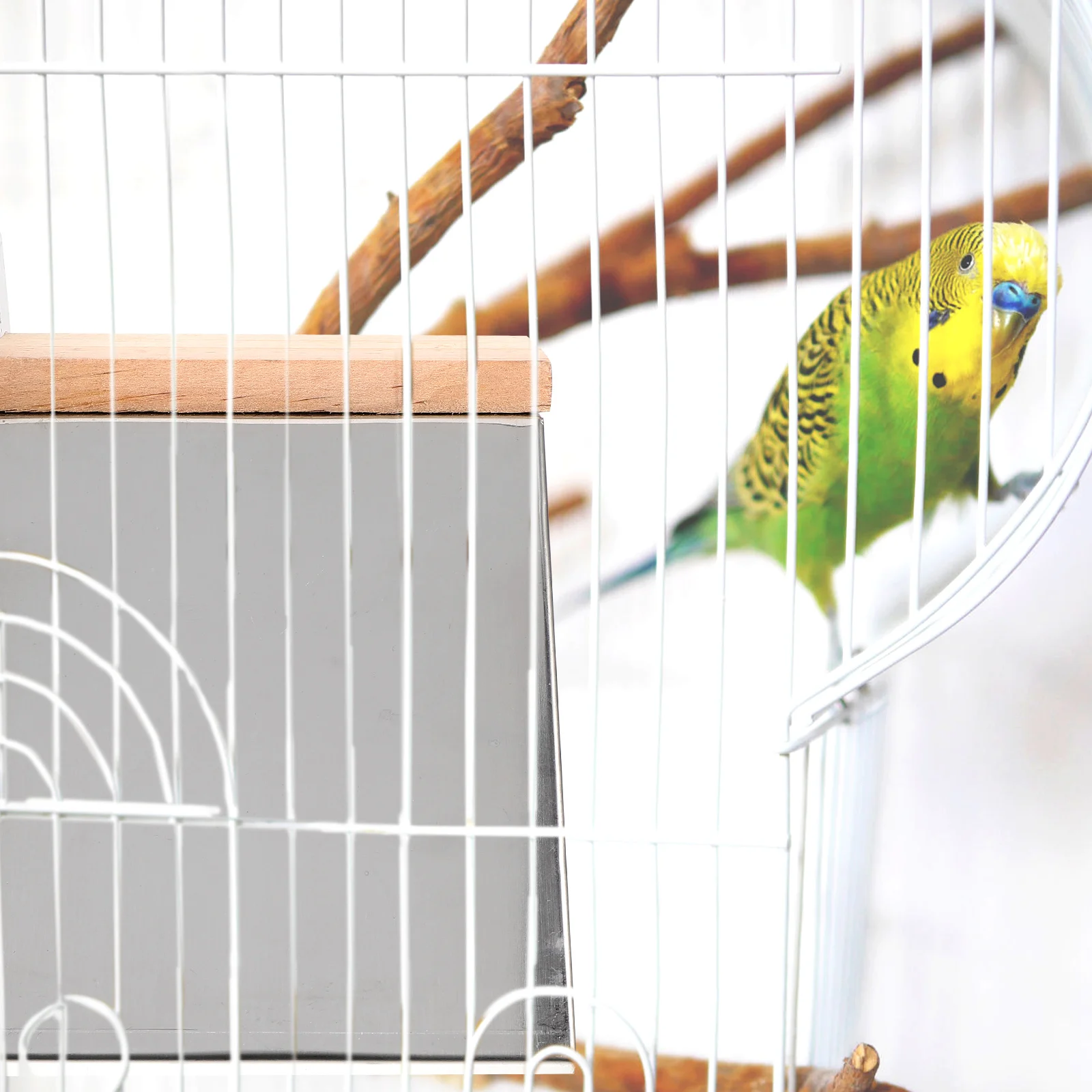 

2pcs Pigeon Perch Stainless Steel Thickened Plastic Racing St Hangable Iron Perch for Bird Cage Accessories Homing