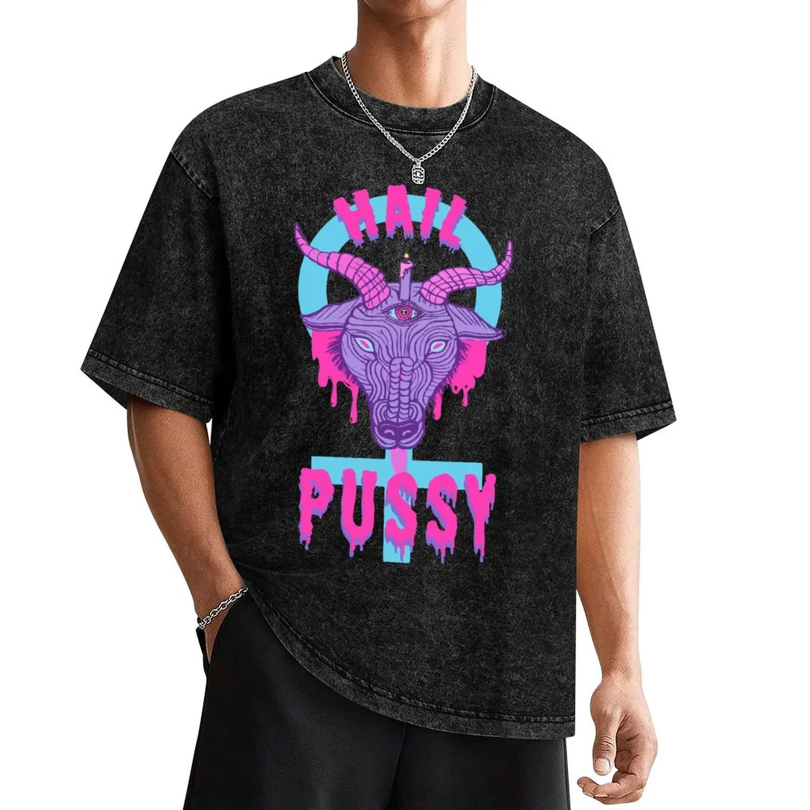 Hail Pussy T-Shirt designer shirts summer clothes vintage clothes t shirts for men