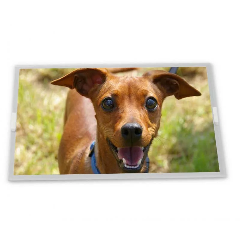 G070VAN01.0 7 800*480 TFT-LCD Display Modules Zhiyan supply