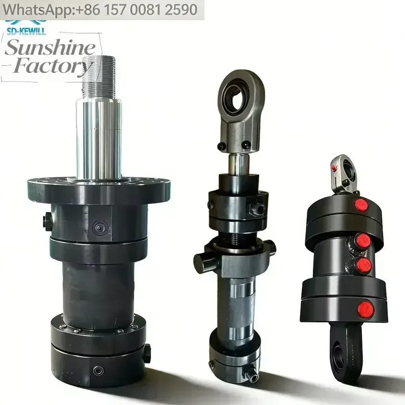Factory Custom Hydraulic Cylinder Jack with Pivot Earrings Cylinder Diameter 125mm Hard Chromium Rod Stroke