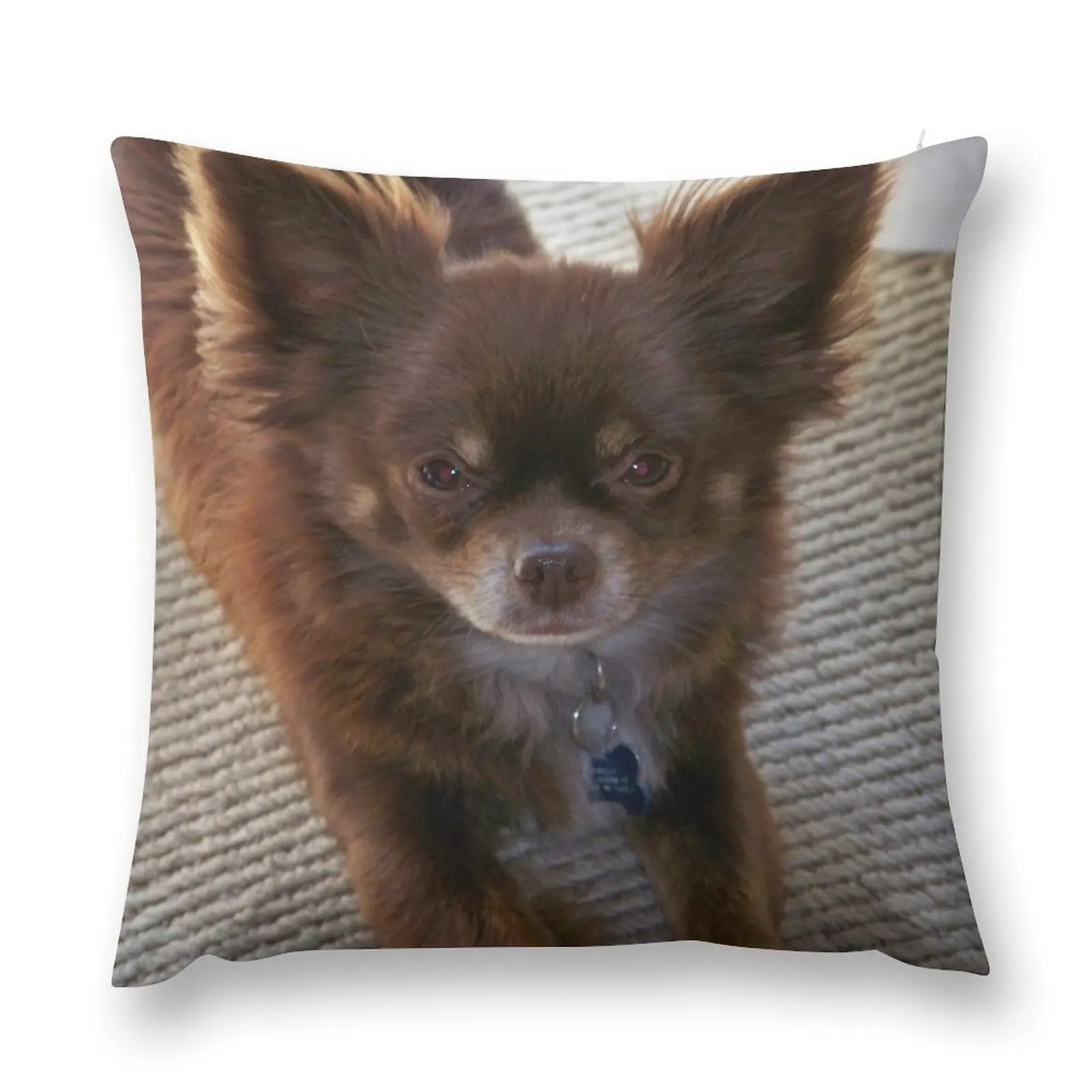 

Chocolate Long Coat Chihuahua Throw Pillow Pillowcases Marble Cushion Cover pillow pillowcase Sofa Cushions Covers pillow