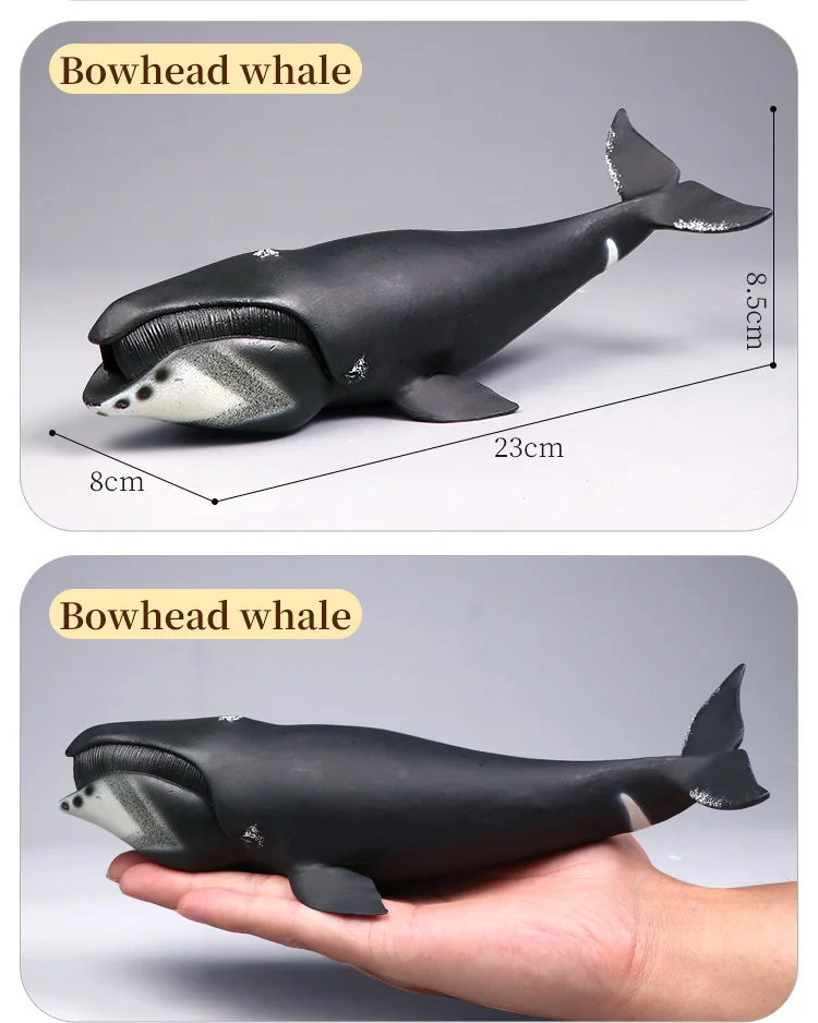 Duża figurka wieloryba, solidny, realistyczny model zwierzęcia morskiego do kolekcji, dekoracji, zestaw do zabawy, prezent.