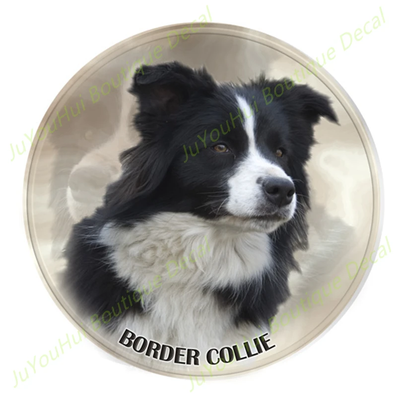 FUYOOHI Boutique Decalsl Border Collie Dog Pet Animal Car Stickers for Bumper Window Laptop Refrigerator Decorative
