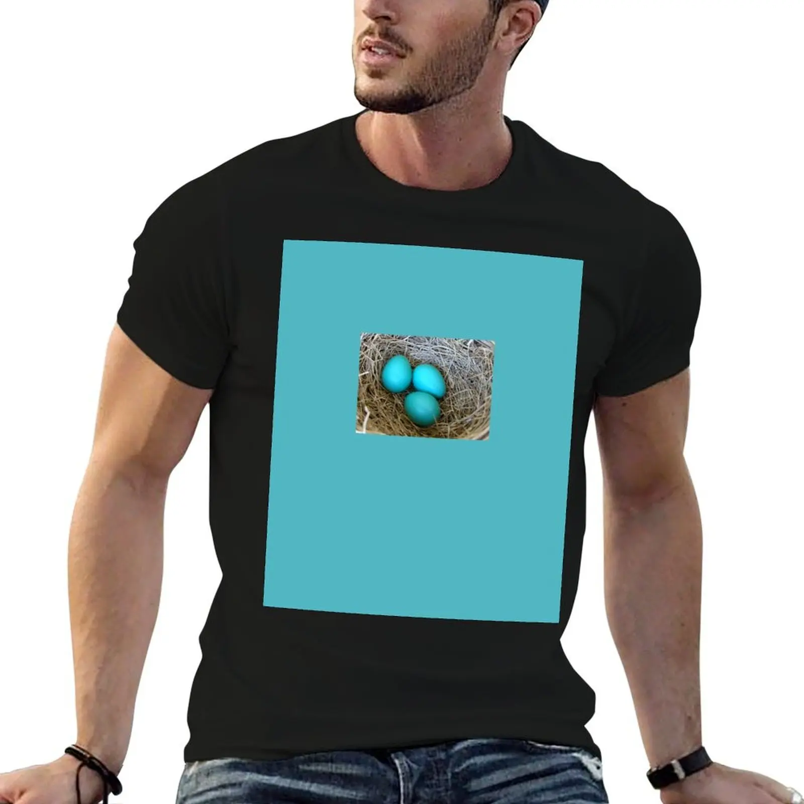 

THREE BLUE EGGS PHOTO T-Shirt summer tops hippie clothes basketball graphic tees Men's t-shirts