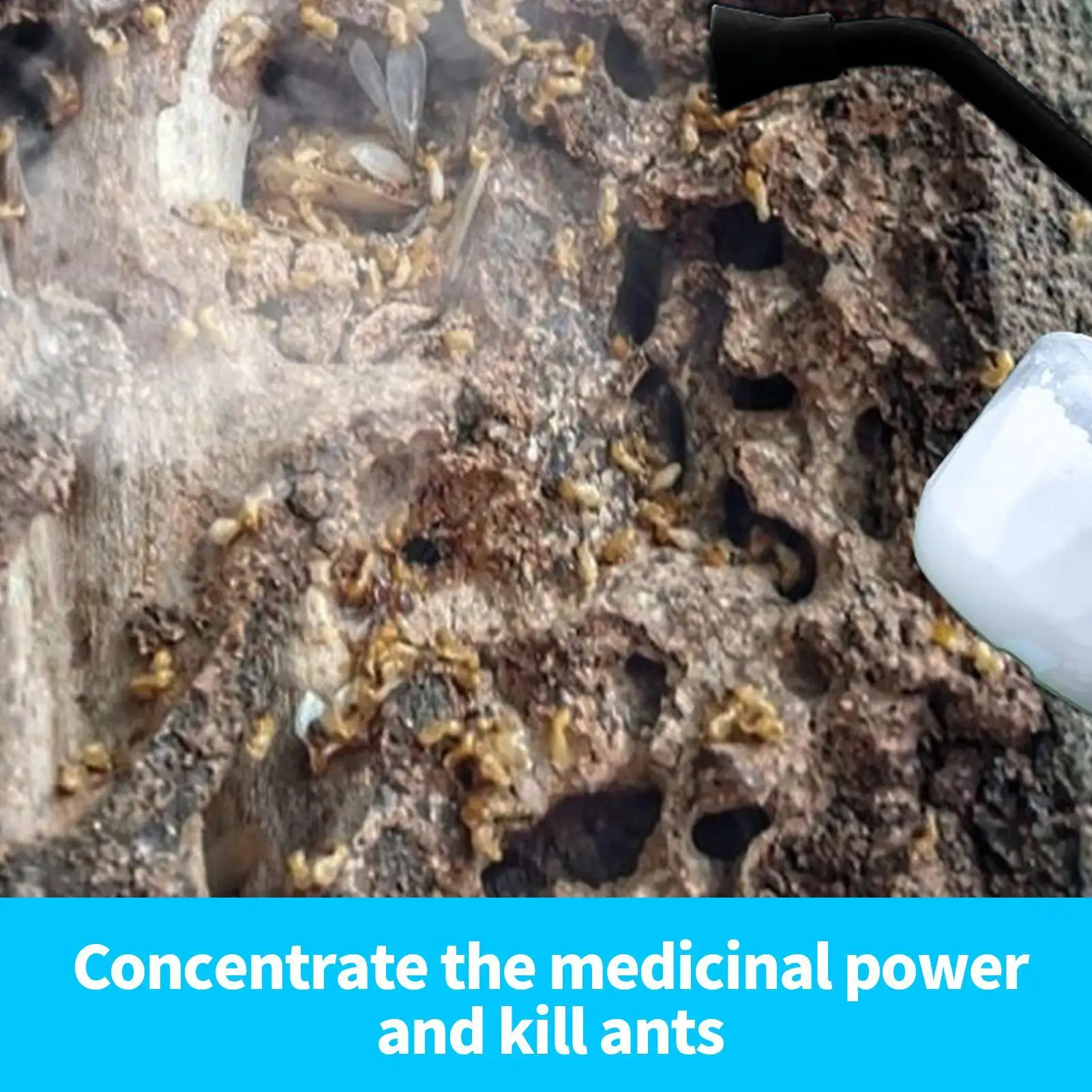 Flower Pollinator Tool Garden Powder Dispenser Adjustable Fast Even Pollination Tool For Kiwis Vegetables Strawberries Pears