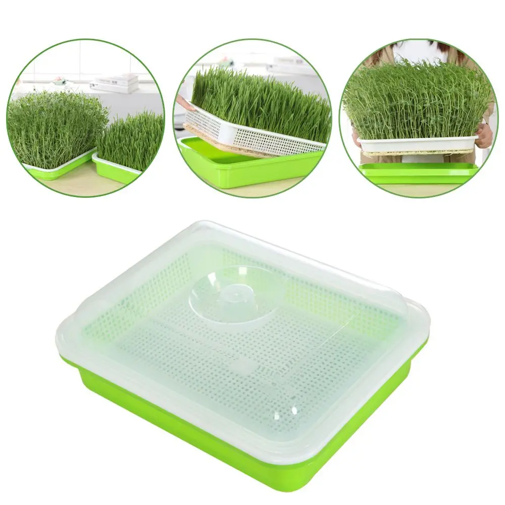 Outdoor Indoor Hydroponic Tray Soilless Cultivation Seed Sprouter Tray Plant Box Sprout Pot Grow Nursery Pots Home Garden