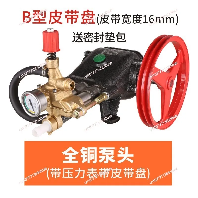 55i Shaft All Copper Commercial Plunger Water Pumps Car Wash Pump Head