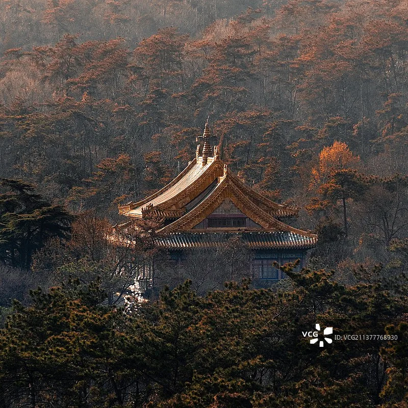 SpeedyBee Goggles BEC 20W Max Fast Charging Power 3-6S For DJI G2 V2 Goggles 2 Cable Mobile Phone FPV Drone Quadcopter