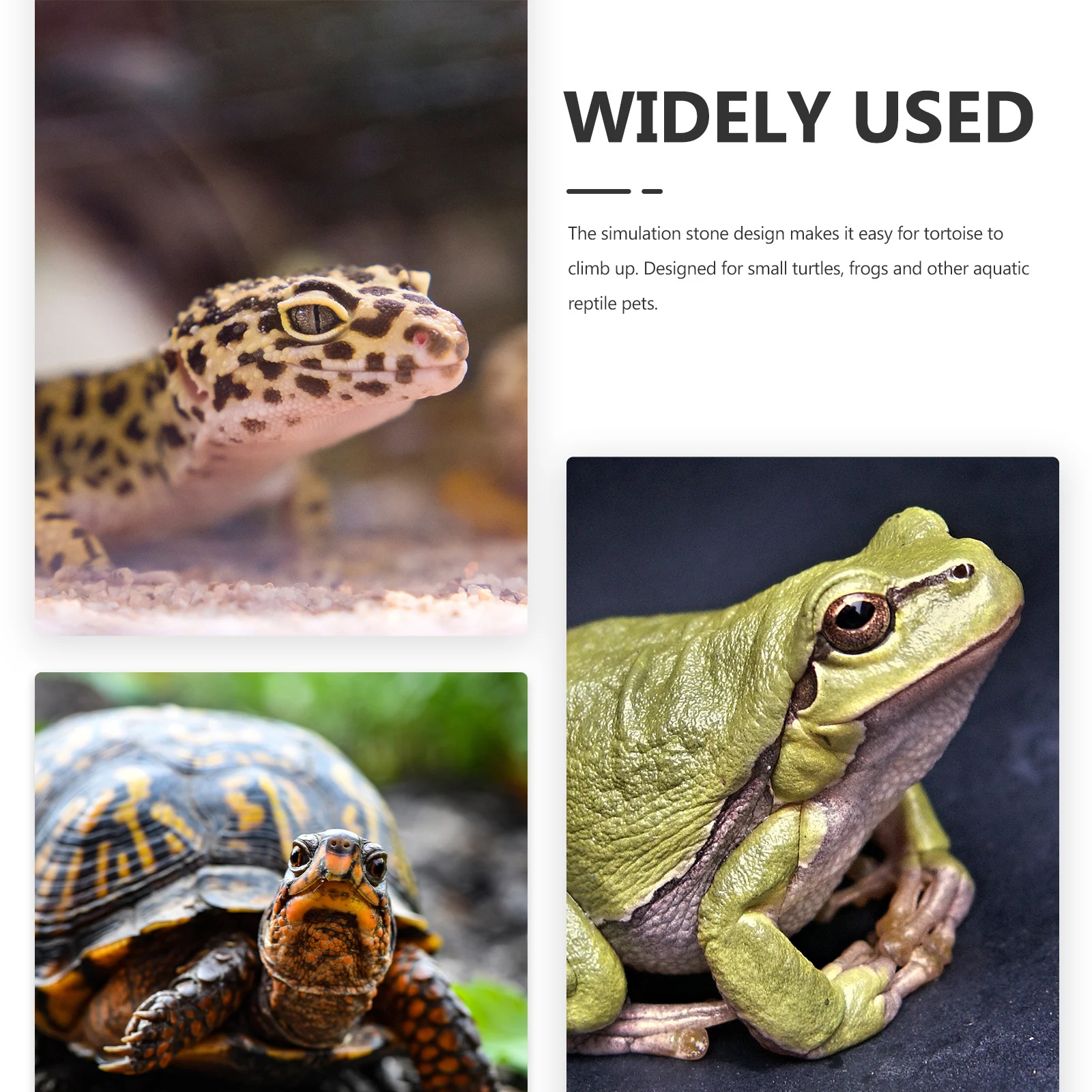 منصة الفرح السلحفاة محاكاة تصميم الحجر السلاحف الصغيرة الزواحف يستريح حوض خزان الأسماك ديكور السلحفاة الموئل الملحقات