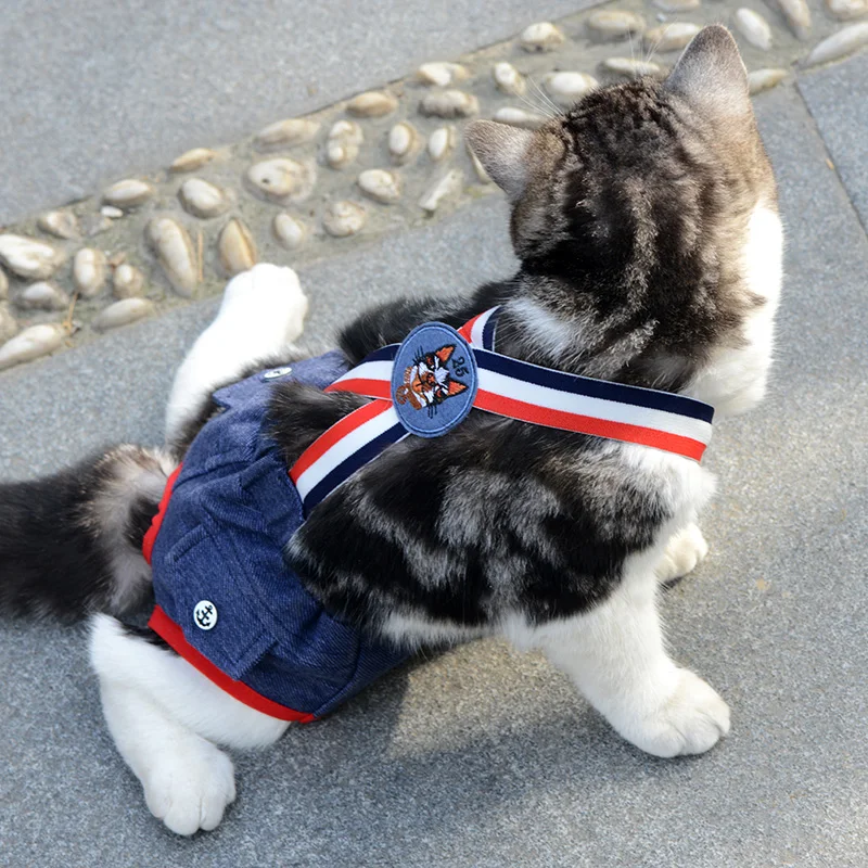 Denim-Höschen für Französische Bulldoggen, physiologische Höschen mit Punkten für weibliche Hunde, Sicherheits- und Hygienehöschen für kleine und mittelgroße Hunde, Katzen, Haustier-Shorts – Detail 9