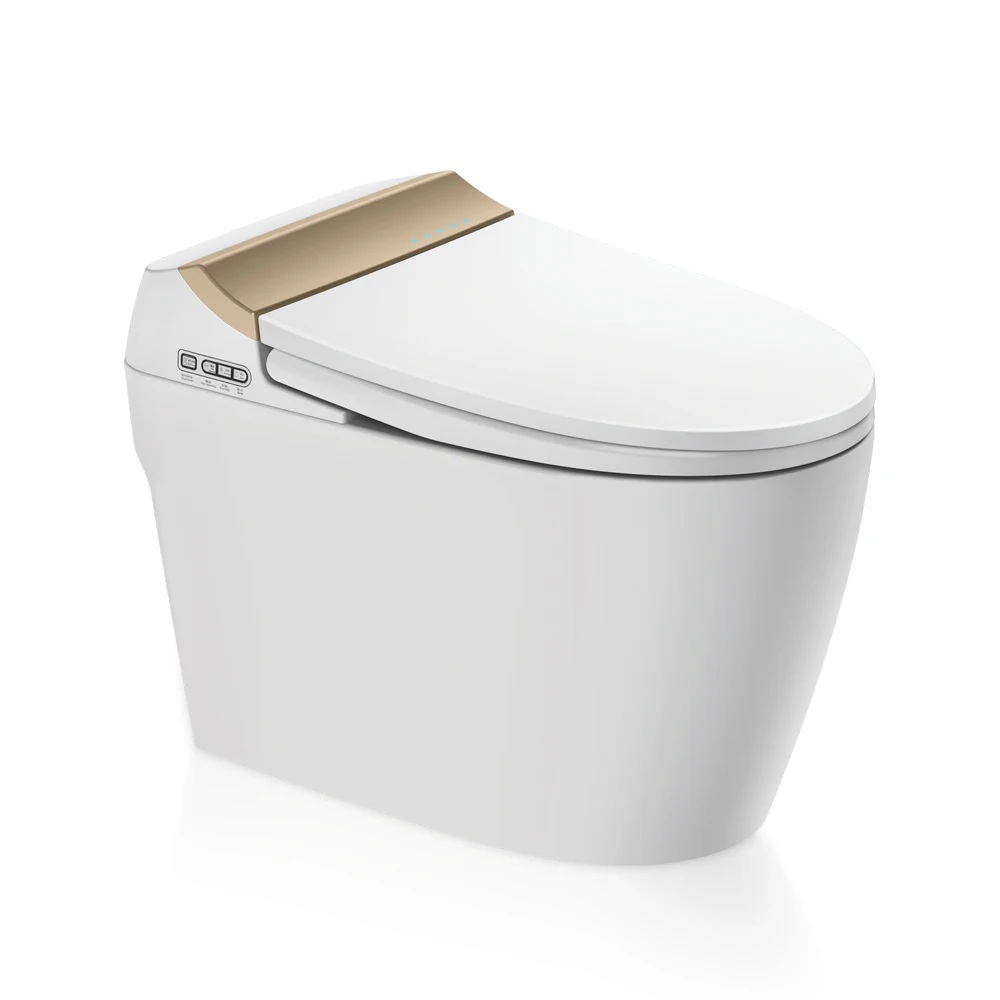

High Quality Ceramic 110v Auto Open Tankless Smart Toilet With Water Tank
