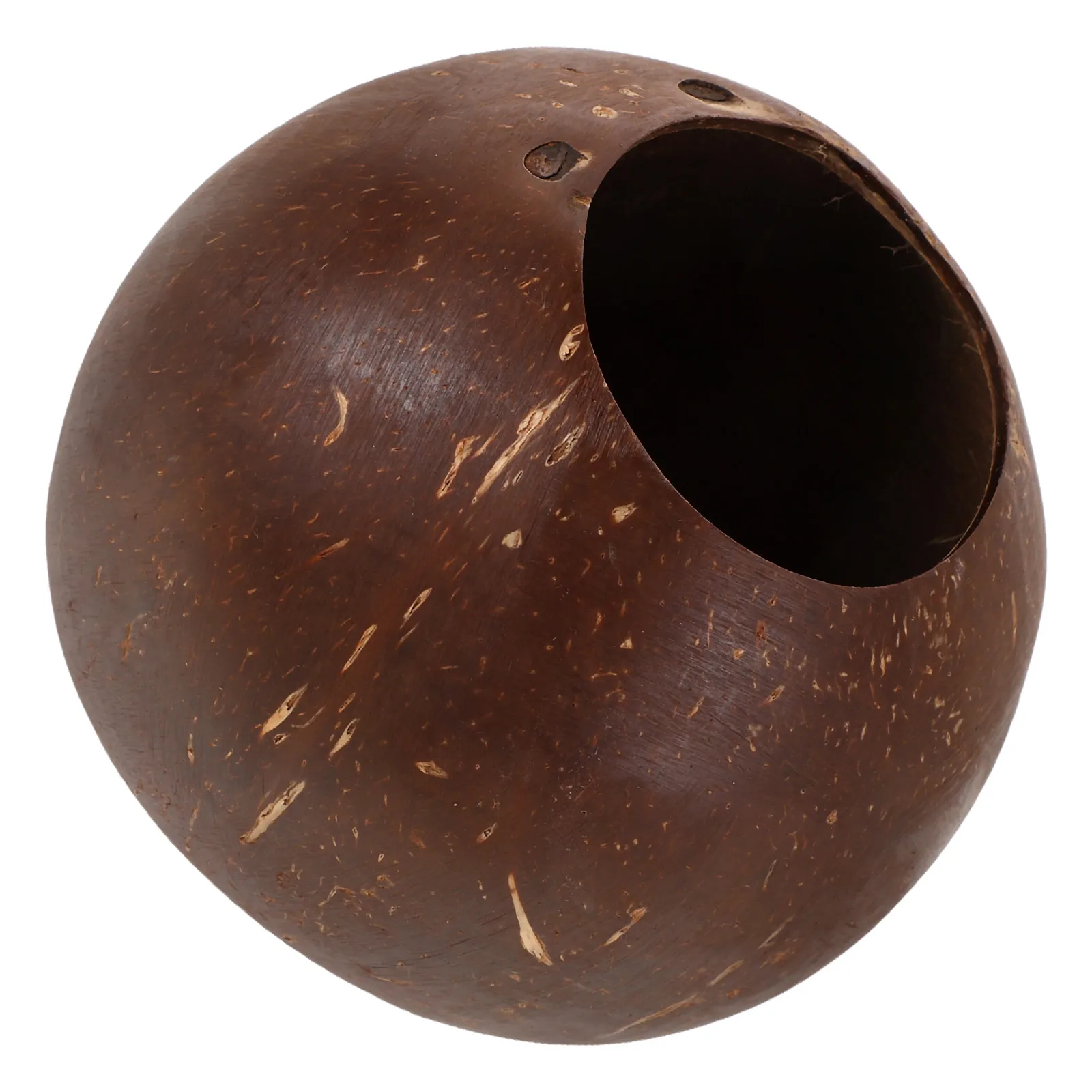 

Coconut Flower Natural Old Shell Planter for Indoor Plants Succulent DIY Project Cute Pot Planting Pots Seedling Trays Nursery