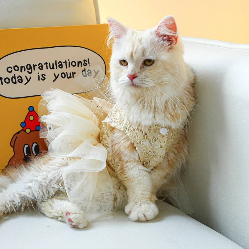 

Golden Dog Lace Yarn Dress Birthday Wedding Party Pet Dress Dog Lace Yarn Skirt