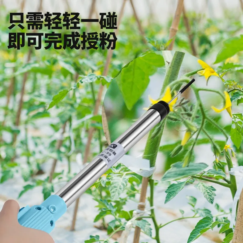 Dutch tomato pollinator, tomato pollinator, virgin fruit pollinator.
