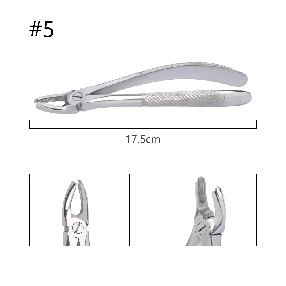 10-teiliges Set Zahnextraktionszangen mit Werkzeugset, Zahnärztliches Chirurgieinstrument für Kliniken, Zangen für Erwachsene/Kinder – Detail 10