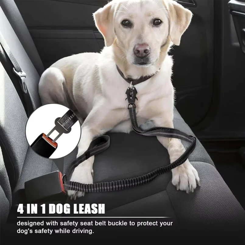 Correas Reflectantes para Masc - Bungee Dog Leash Shock Absorbing reseña y precio
