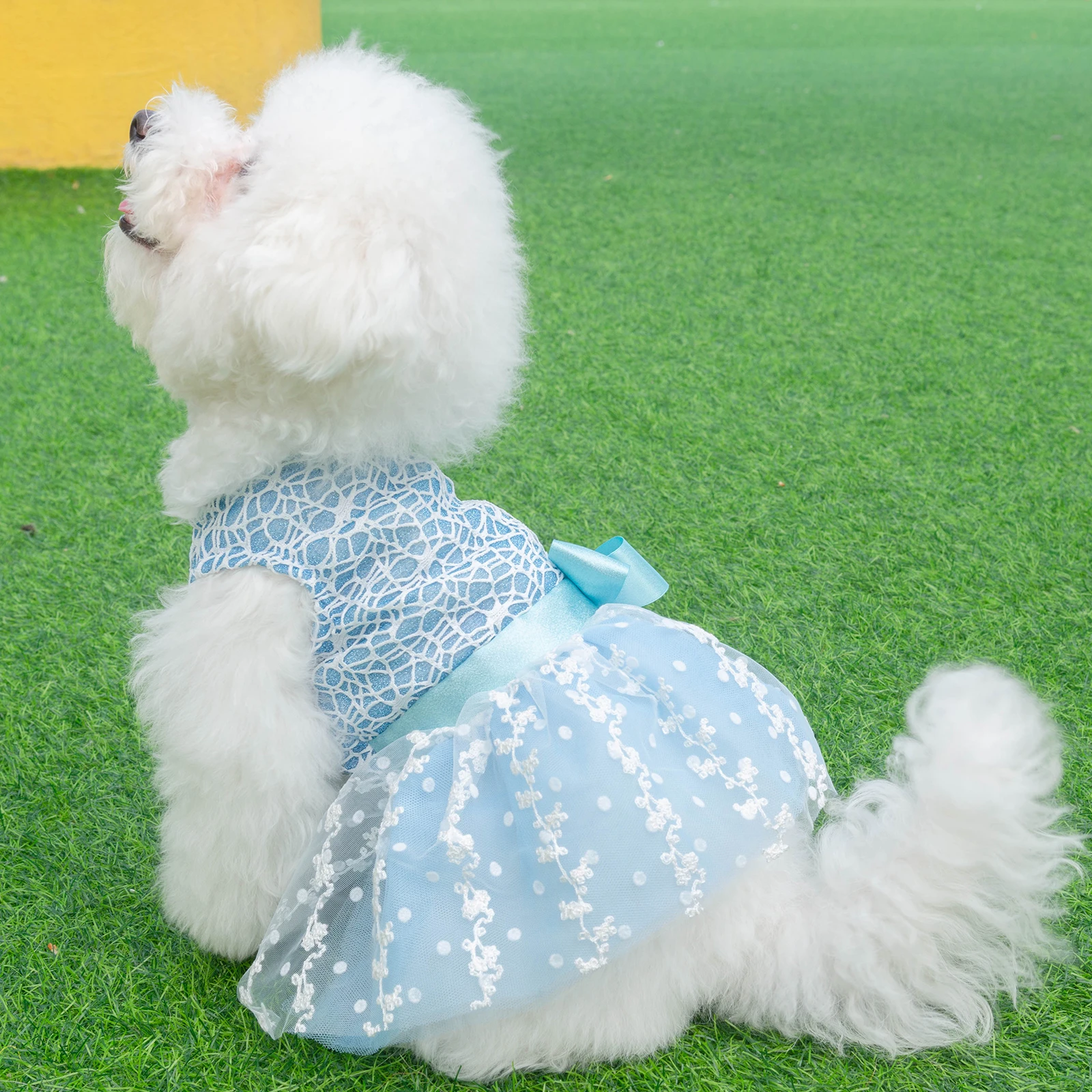 U Pick CuteBone Girl Puppy Dog Dress Fashion Dog Skirt Outfit Popular Pet Clothes Gift for Small Dogs