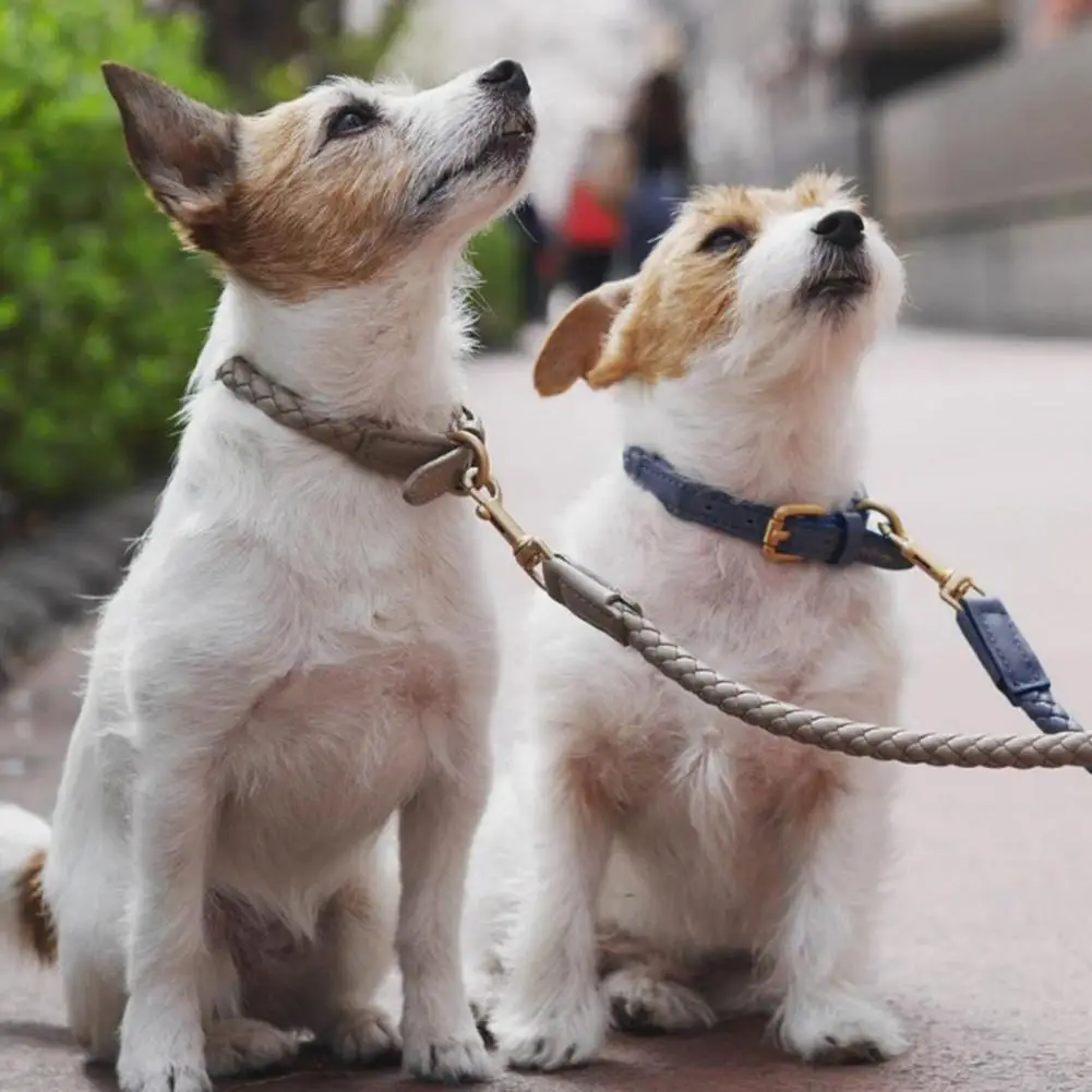 Pet Neck Circle Quick-Release Dog Harness Collar Anti-suffocation Safety Pet Dog Collar