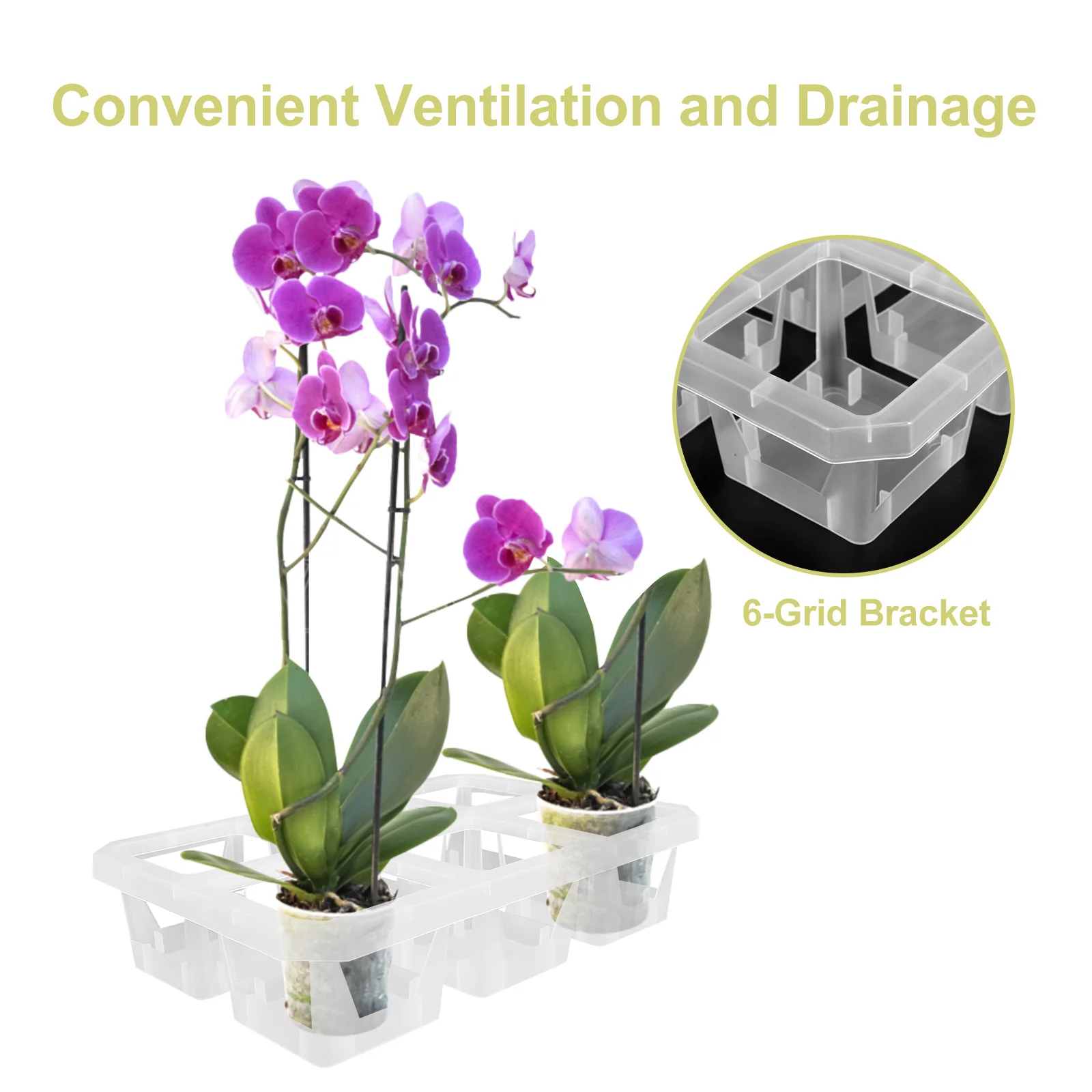 2 قطعة فراشة Lan البلاستيك الأوركيد الجذر التحكم الأواني 6 صينية شبكة لنمو النباتات الصحية سهلة التركيب التصميم الحديث