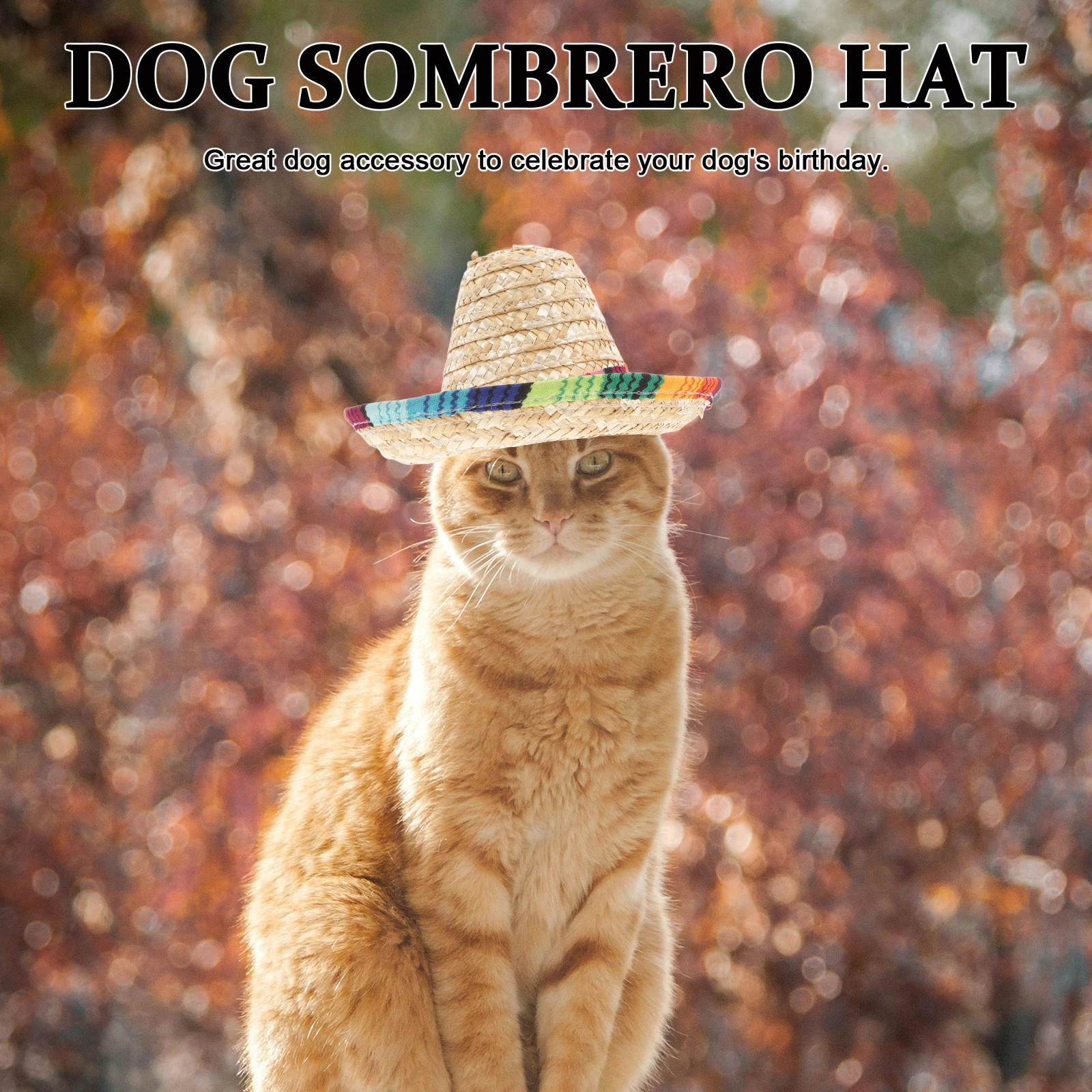 

Pet Dog Sombrero Fedora Mexican Party Supplies Adjustable Cord Dog Costume Small Large Size Birthday Halloween Pet Supplies