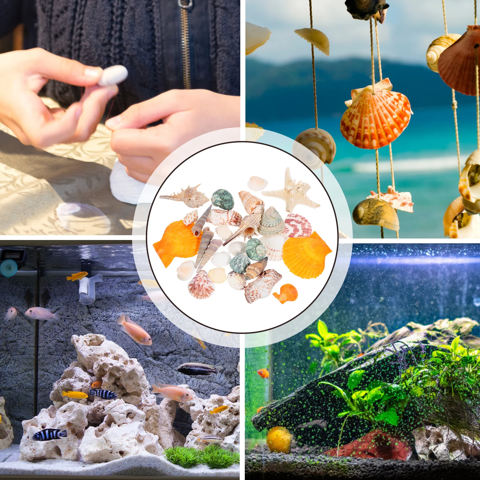 

1Set Natural Shell Conch Fish Tank Ornament Safe Aquarium Landscaping Decorations DIY Shells Photography Props Fish Tank