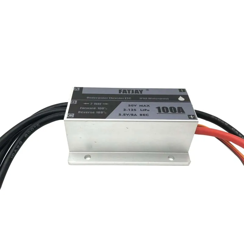 IPX8 Full Waterproof Brushless ESC 100A 2-12S 48V Drive Surfboard Manned Boat Drive Accessories