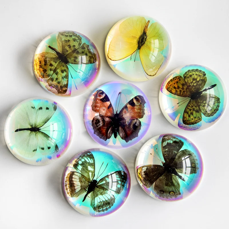 

1pc Real butterfly resin handicraft decoration supplies desktop decoration, semi-circular ball, size: 64*64*33mm, creative gift