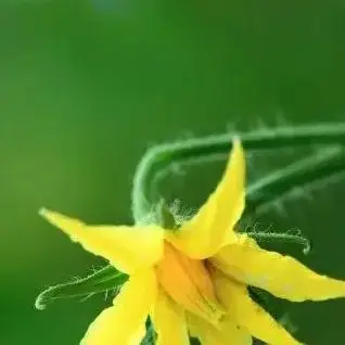 

For 29.4V Electric Scooter+Charger 25.2V 6.0Ah 7S2P 18650 Li-ion Rechargeable Battery Pack