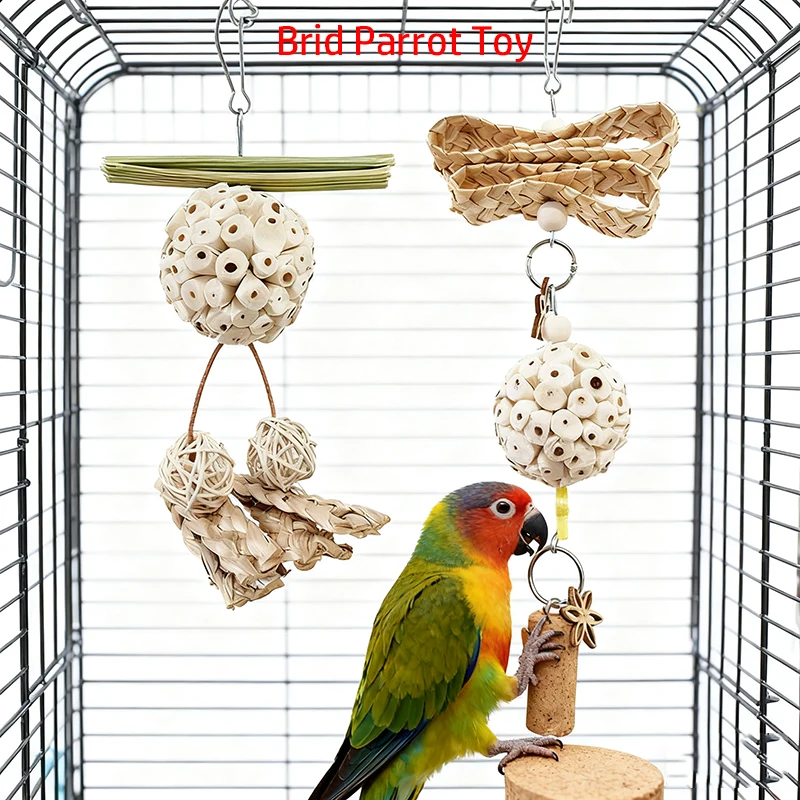 Funny Parrot Tongca…