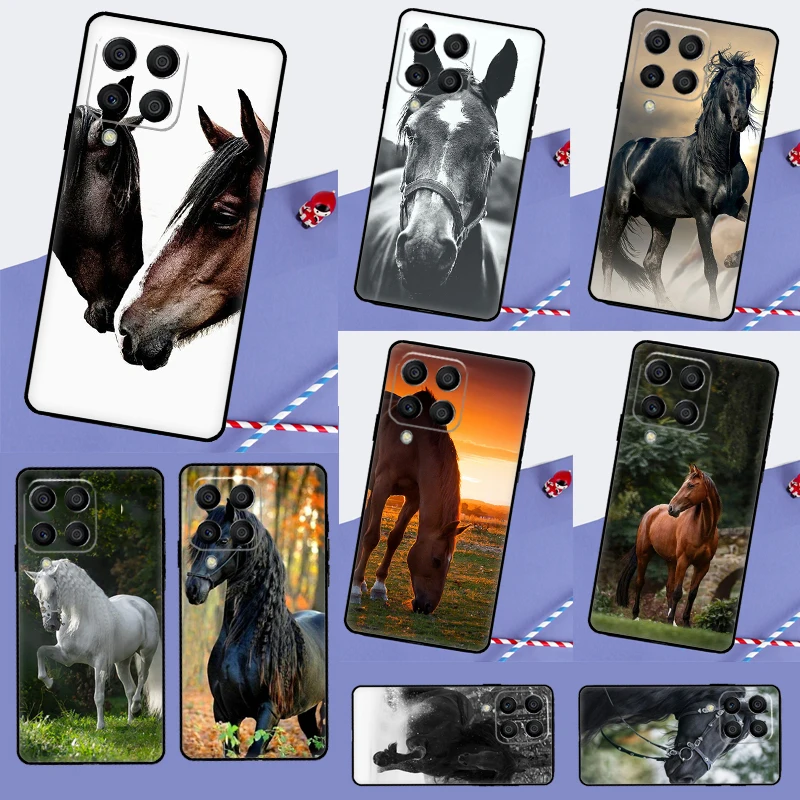 Horse Animal For Sa…