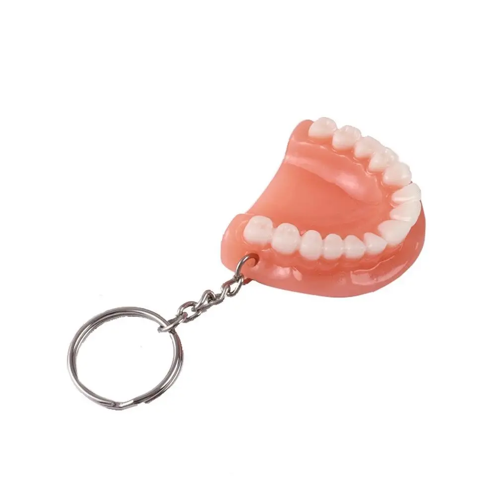 Creative Dental Accessories Resin Upper Jaw Simulation Teeth Pendant Teeth Keyring Tooth Key Chain Denture Key Chain