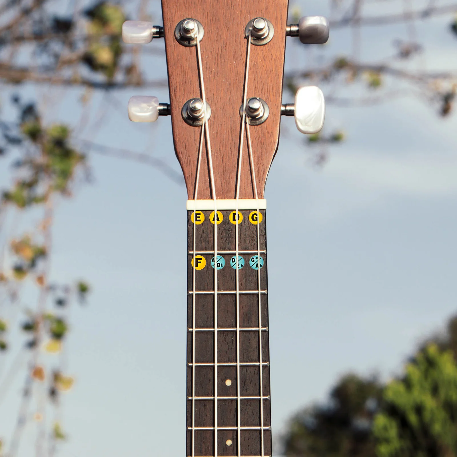 2Pcs Bass Practicing Sticker Adhesive Fretboard Guide for Novices Improved Skill Training Musical Accessory Bass Scale Stickers