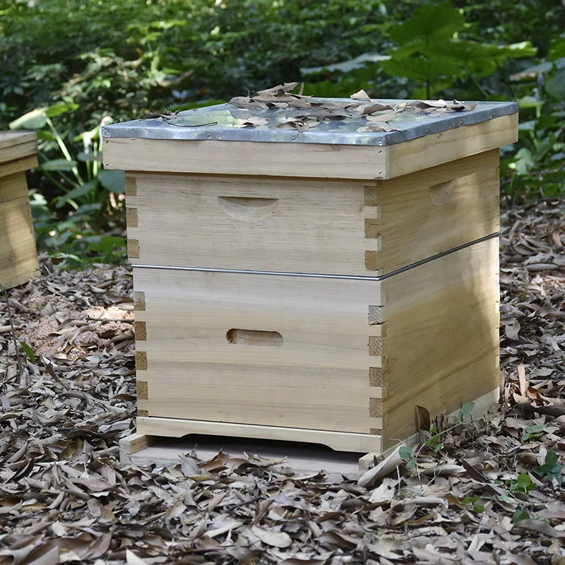 Factory Wholesale Beekeeping Beehive Kit Bee HiveFactory Wholesale Beehive Kit Beekeeping Equipment Complete Bee Hive