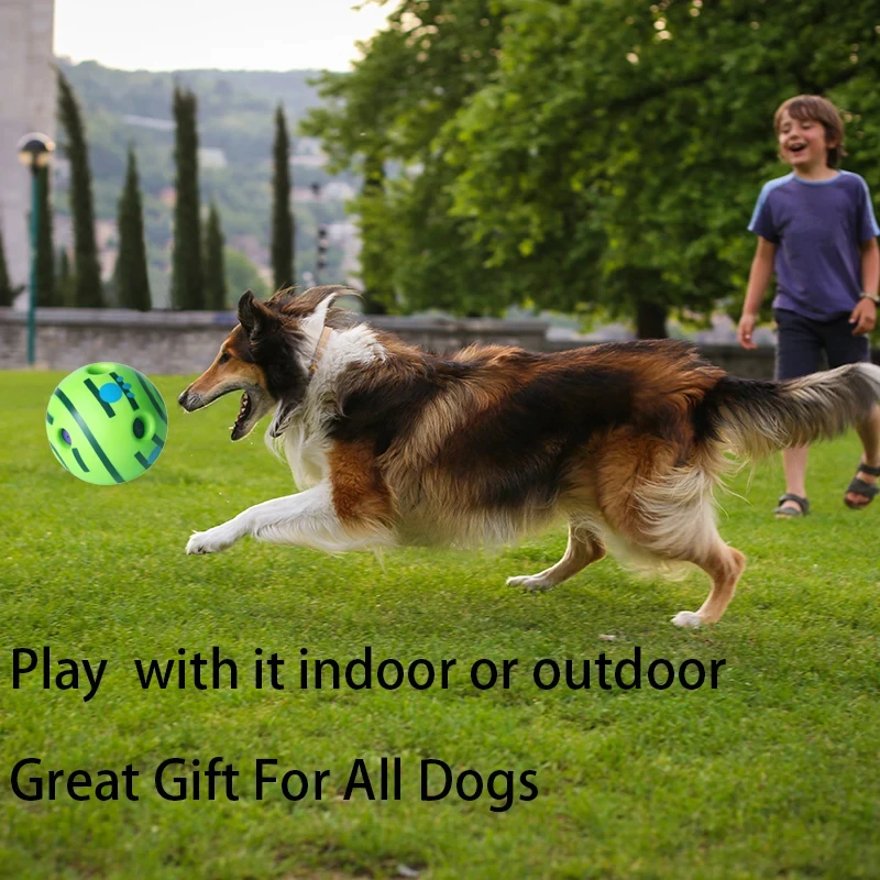 Giggle Glow Ball Interactive Dog Toy Fun Giggle Sounds When Rolled or Shaken Pets Know Best As Seen On TV