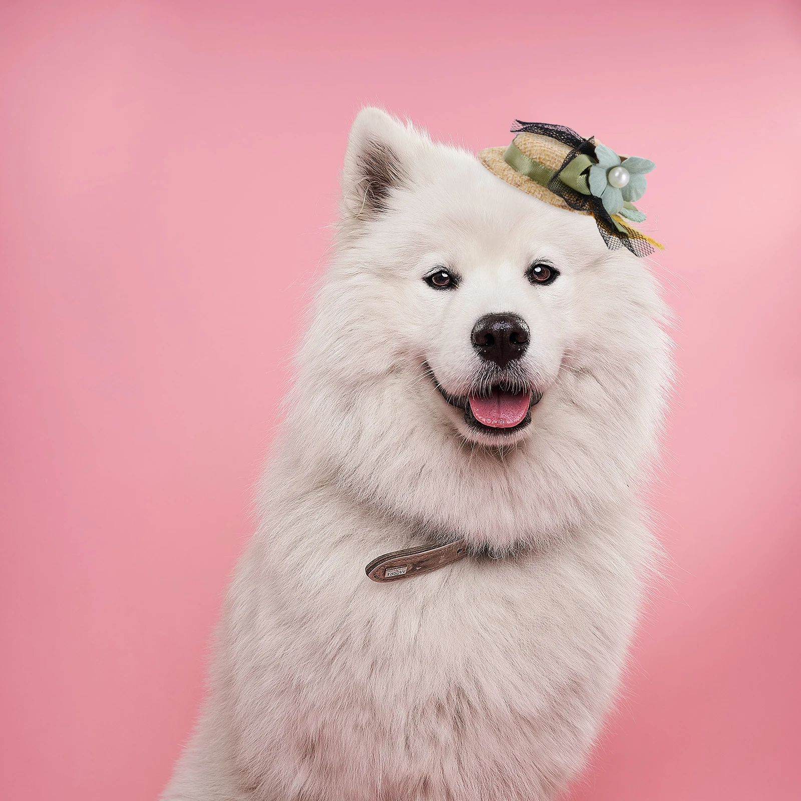 

Cute Clips for Dogs Cats Fashionable Flower Design Lightweight Comfortable Daily Wear Party Photoshoots Longlasting Durable Easy