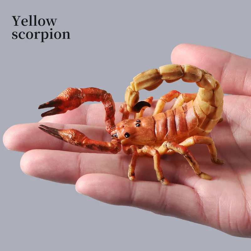 شخصيات عمل العقرب الصلبة محاكاة المفصل الحشرات نماذج للحيوانات لعبة تعليمية معرفية للبنين والبنات الأطفال G
