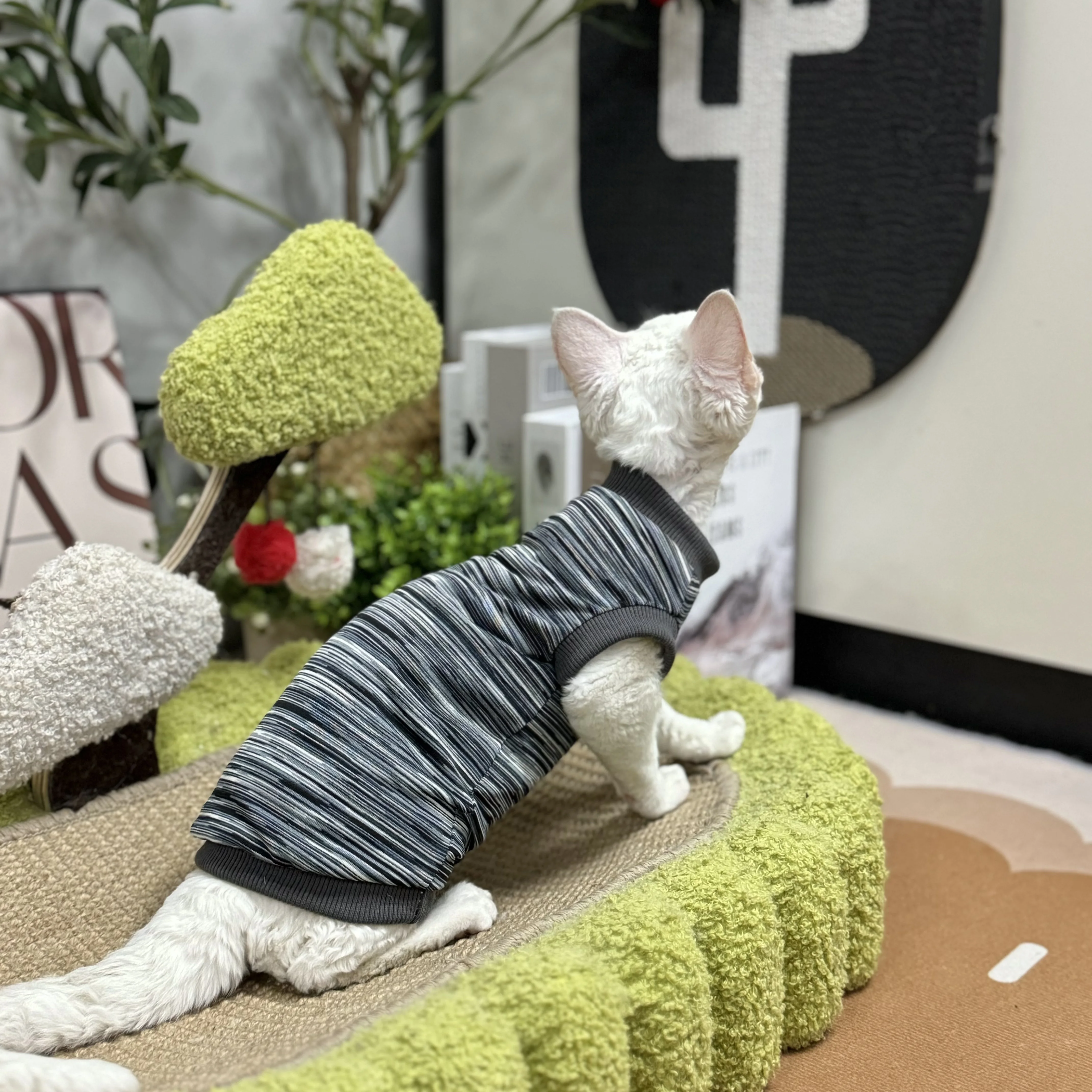 Sphynx Clothes for Cat Hairless Cat Soft Cotton Coat Spring Shirt For Kittens Devon Rex Sleeveless Grey Shirt for Summer Outwear