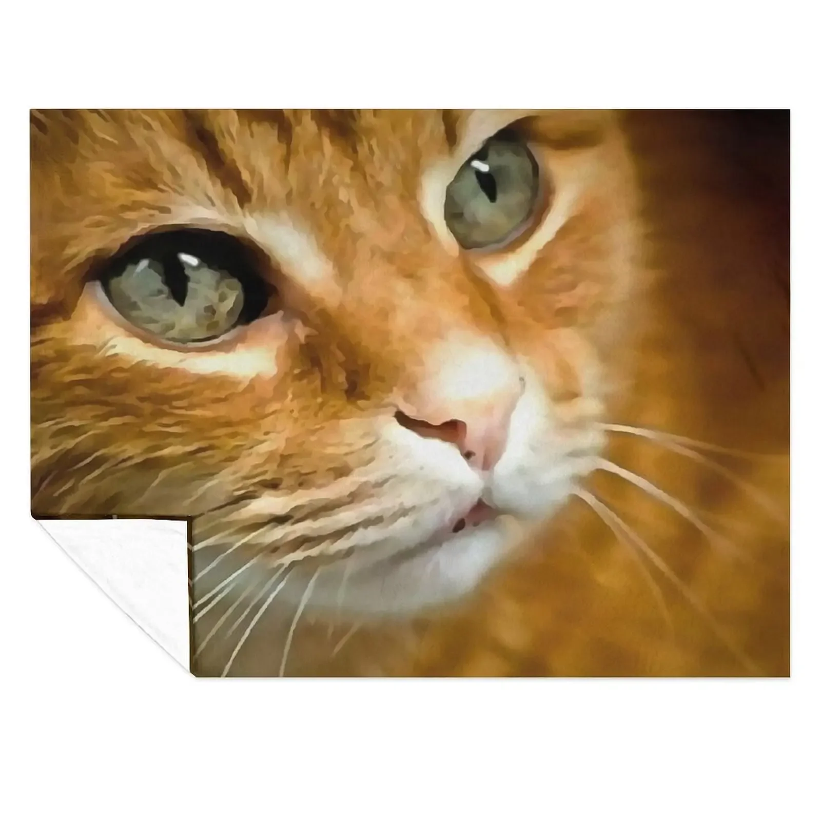 

Adorable Ginger Tabby Cat Posing Artistic Pet Portrait Throw Blanket Vintage Summer Plaid on the sofa Blankets