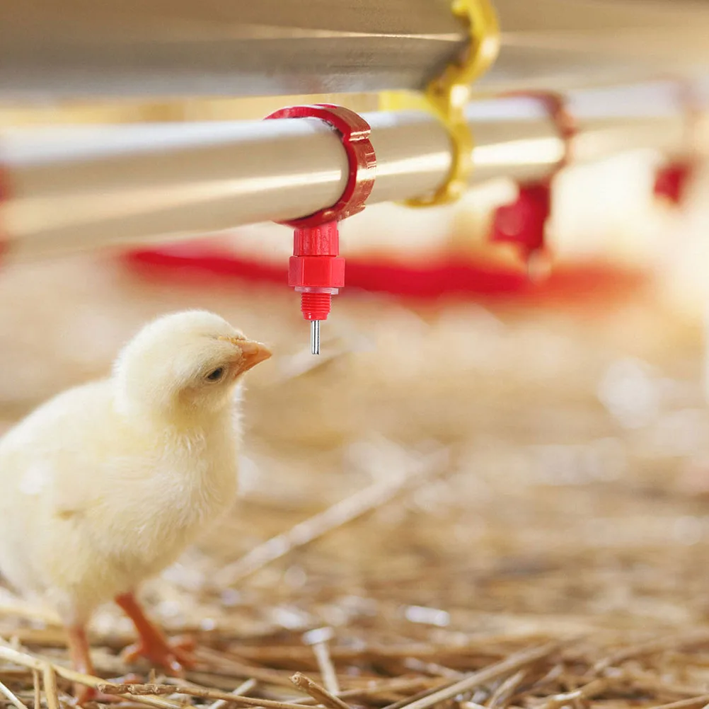 

30Pcs Automatic Chicken Water Nipples Drinkers Farm Poultry Feeding Equipment Practical Poultry Waterer Chicken Water Drinker