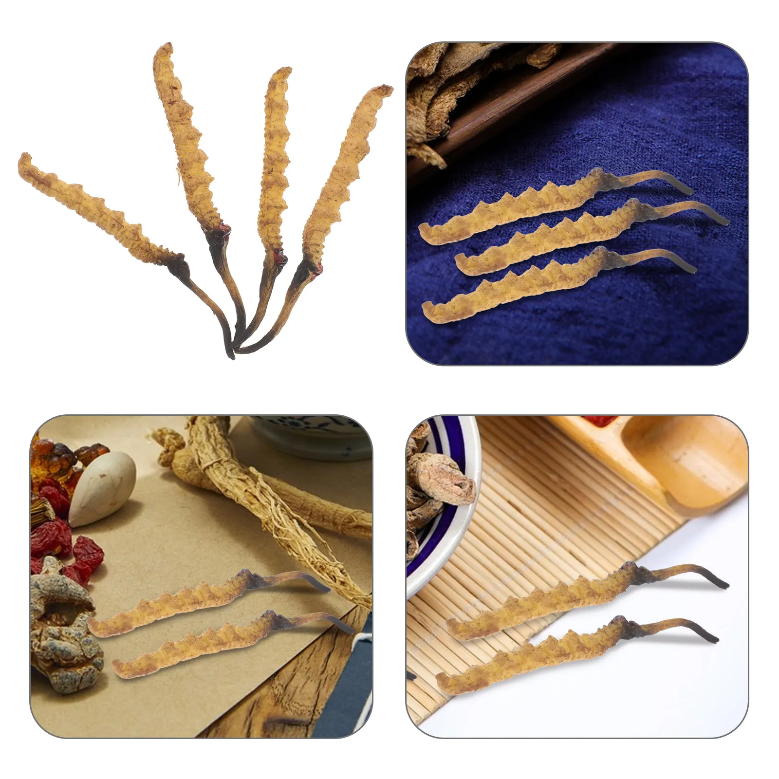 4Pcs Cordyceps Simulation High Realism Props Traditional Medicine Shop DIY Skill Development Educational Displays Chinese