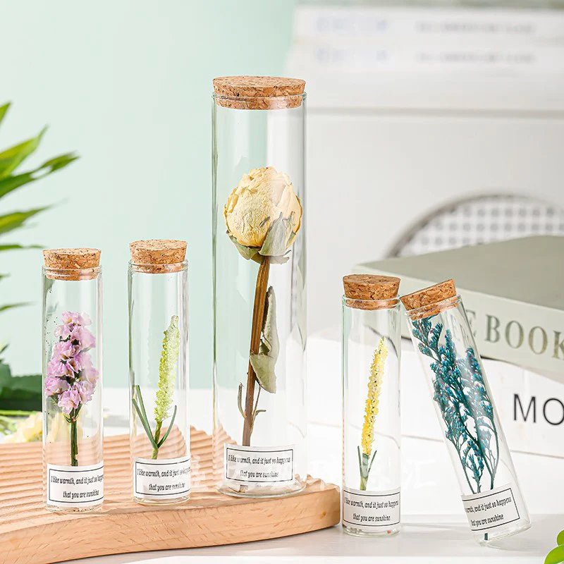 Flower Glass Vase With Cork Transparent Dried Flower Vase Test Tube Decorative Hydroponics Plants Display Creative Room Decor